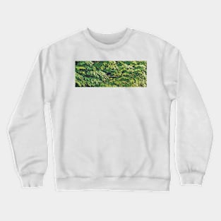 Green Leaves Crewneck Sweatshirt